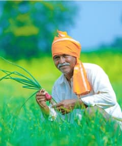 விவசாயிகளின் வங்கி கணக்குகளில் ரூ.2000 வரவில்லையா? இதோ 3 காரணங்கள்