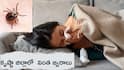 Krishna Scrub Typhus Fever: కృష్ణా జిల్లాలో  వింత జ్వరాలు! 