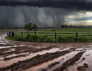 Weather Update:રાજયમાં ફરી માવઠાનું સંકટ, આ તારીખથી પડશે કમોસમી વરસાદ