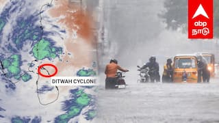 புரட்டிப்போட்ட டிட்வா புயல் மரத்தில் மாட்டிக்கொண்ட நபர் மூழ்கிய இலங்கை | Sri Lanka Ditwah Cyclone