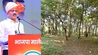 Girish Mahajan on Tapovan Trees: आम्ही प्रत्येक पावसाळ्यात अनेक झाडं लावतो, तपोवनची जागा शेकडो वर्षांपासून साधुग्रामसाठी आरक्षित: गिरीश महाजन