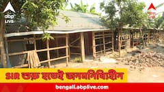 কেউ কুড়োতেন কাগজ, কেউ সাফাই কর্মী, SIR শুরু হতেই 'ভ্যানিশ' প্রায় ১০০ পরিবার, গোটা গ্রামের সবাই