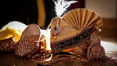 Lavish Udaipur Wedding Under ED Lens After Rs 331 Crore Found In Rapido Driver’s Account