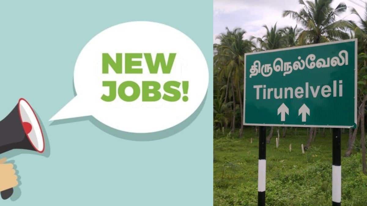 Job Alert: நெல்லை மக்களே.. அரசு மருத்துவமனையில் வேலை வாய்ப்பு.. உடனே அப்ளை பண்ணுங்க!