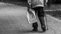 Kerala: 90-Year-Old Independent Candidate Campaigns Door-to-Door For Panchayat Polls