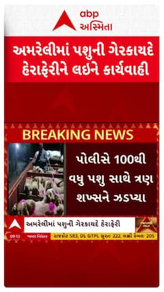 Amreli News: અમરેલીમાં પશુની ગેરકાયદે હેરાફેરીને લઇને કાર્યવાહી