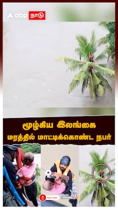 புரட்டிப்போட்ட டிட்வா புயல் மரத்தில் மாட்டிக்கொண்ட நபர் மூழ்கிய இலங்கை |