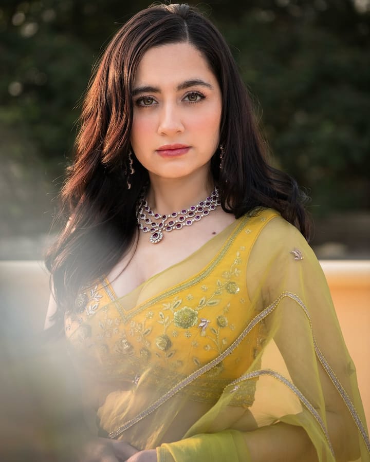 दरअसल, संजीदा और हर्षवर्धन के अफेयर की खबरें तब आने लगीं जब दोनो ने गिर वेकेशन की तस्वीरें शेयर की थी. दरअसल, उन तस्वीरों में सेम लोकेशन और सेम बैकग्राउंड देखने को मिल रहा था.