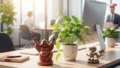 Feng Shui Tips: क्या ऑफिस डेस्क पर ये 3 चीजें रखने से बढ़ती है गुडलक और प्रमोशन?