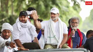 बिहार में करारी हार के बाद महागठबंधन में टेंशन! कांग्रेस में उठी 'एकला चलो' की मांग; RJD ने कसा तंज