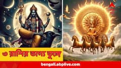 বাড়বে মাইনে,পরিশ্রমের ফল হাতেনাতে, মিলতে পারে প্রমোশনও, ২০২৬ এর শুরুতেই কপাল খুলছে এই ৩ রাশির