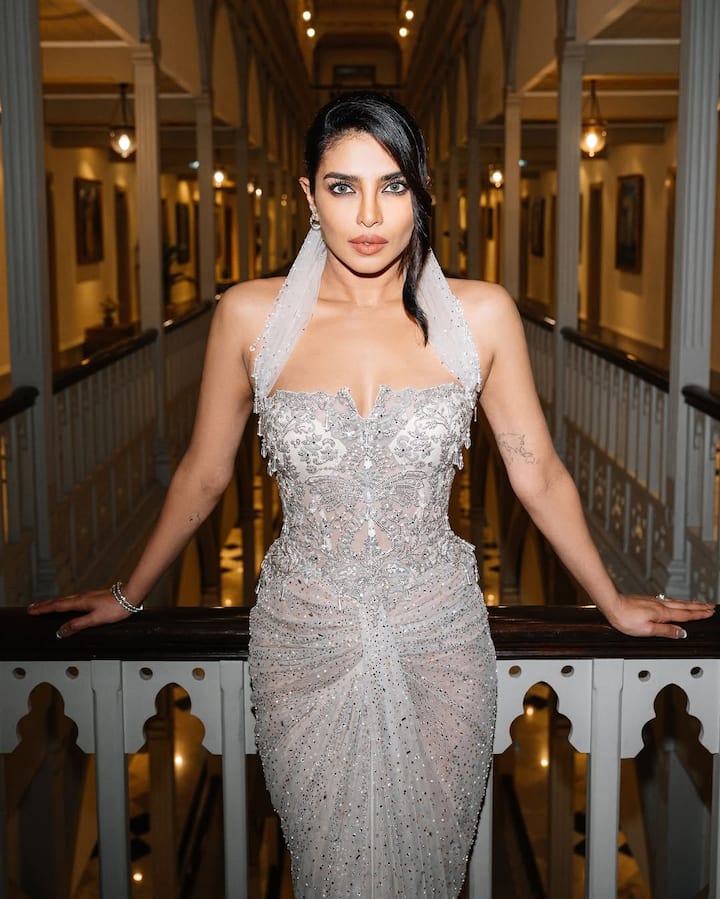 मिस वर्ल्ड प्रतियोगिता जीतने के बाद साउथ सिनेमा और बॉलीवुड के दरवाजे प्रियंका के लिए खुल गए. साल 2002 में उन्होंने साउथ फिल्म 