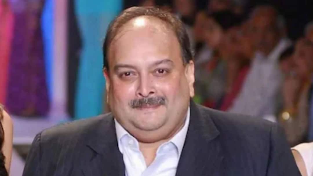 Mehul Choksi Fails To Drop FEO Proceedings Amid Extradition Battle: Special Court Rejects Plea