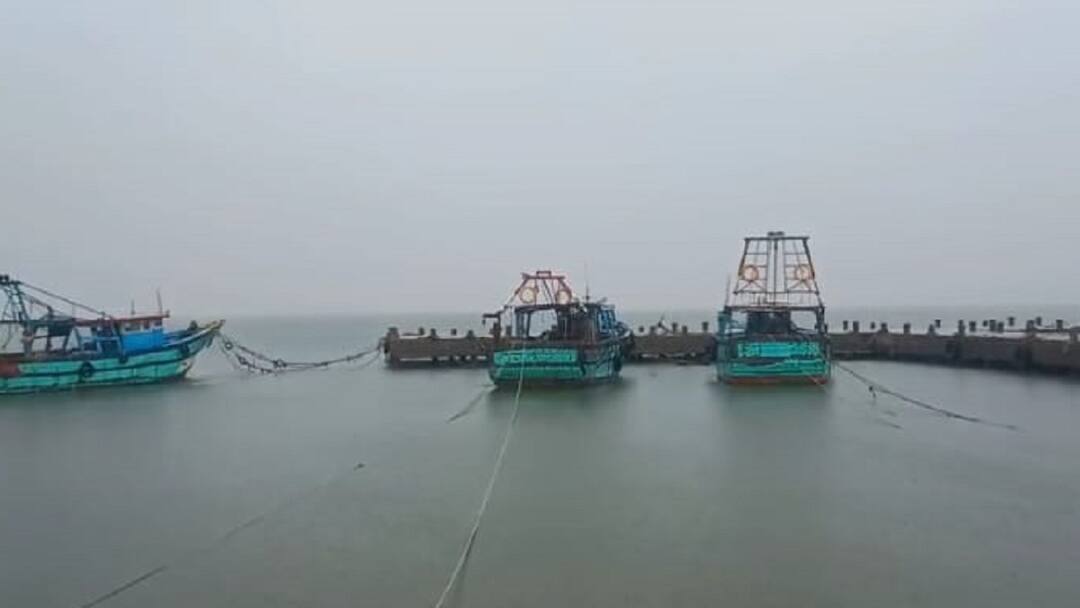 22 நாட்களாக மீன்பிடிக்க போகலைங்க... வாழ்வாதாரம் பாதிக்கப்பட்டு கண்ணீர் விடும் மீனவர்கள் Haven't gone fishing for 22 days... Fishermen shed tears as livelihoods are affected tnn 22 நாட்களாக மீன்பிடிக்க போகலைங்க... வாழ்வாதாரம் பாதிக்கப்பட்டு கண்ணீர் விடும் மீனவர்கள்