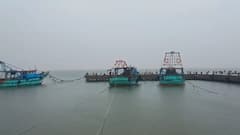 22 நாட்களாக மீன்பிடிக்க போகலைங்க... வாழ்வாதாரம் பாதிக்கப்பட்டு கண்ணீர் விடும் மீனவர்கள்