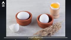 Fake Egg vs Real Egg: ਉਬਲਿਆ ਅੰਡਾ ਨਕਲੀ ਤਾਂ ਨਹੀਂ? ਇਨ੍ਹਾਂ ਆਸਾਨ ਟ੍ਰਿਕਸ ਨਾਲ ਪਛਾਣੋ ਅਸਲੀ ਜਾਂ ਨਕਲੀ...