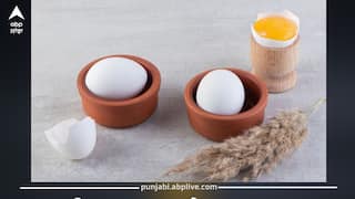 Fake Egg vs Real Egg: ਉਬਲਿਆ ਅੰਡਾ ਨਕਲੀ ਤਾਂ ਨਹੀਂ? ਇਨ੍ਹਾਂ ਆਸਾਨ ਟ੍ਰਿਕਸ ਨਾਲ ਪਛਾਣੋ ਅਸਲੀ ਜਾਂ ਨਕਲੀ...