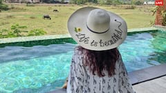 रेस्तरां में कॉफी पी रही थी हसीना, अनचाही मुलाकात ने पलटी किस्मत, कई बार ऑडिशन में फेल होकर बनी बड़ी हीरोइन