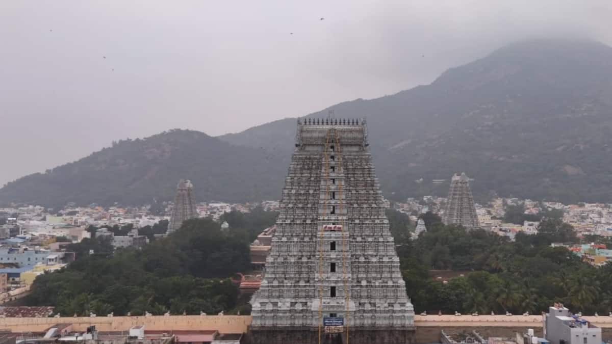 கார்த்திகை தீபம்: திருவண்ணாமலைக்கு உள்ளூர் விடுமுறை அறிவிப்பு! முக்கிய அறிவிப்பை வெளியிட்ட ஆட்சியர்!