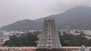 கார்த்திகை தீபம்: திருவண்ணாமலைக்கு உள்ளூர் விடுமுறை அறிவிப்பு! முக்கிய அறிவிப்பை வெளியிட்ட ஆட்சியர்!