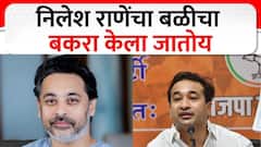 Nitesh Rane PC : Nilesh Rane यांचा बळीचा बकरा केला जातोय; नितेश राणेंनी केली भावाची पाठराखण