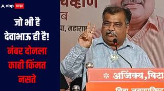 जो भी है देवाभाऊ ही है, नंबर दोनला काही किंमत नसते, मंत्री रवींद्र चव्हाणांचा रोख नेमका कुणाकडे?