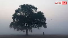 Cold Wave GK: કેટલી ઠંડી હવાને કહેવામાં આવે છે શીત લહેર, એનું તાપમાન સાથે શું છે કનેક્શન ?