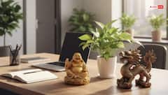 Feng Shui Tips: क्या ऑफिस डेस्क पर ये 3 चीजें रखने से बढ़ती है गुडलक और प्रमोशन?