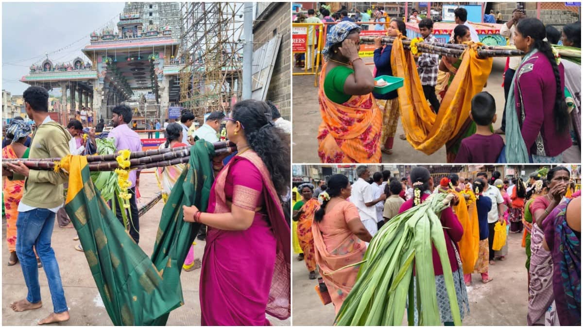 Tiruvannamalai : காலம் காலமாகத் தொடரும் ஐதீகம்: கரும்புத் தொட்டிலில் குழந்தைகளை வைத்து அண்ணாமலையாரை வலம் வந்து நேர்த்திக்கடன்!