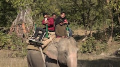 7 साल बाद राजाजी और कॉर्बेट टाइगर रिजर्व में शुरू हुई हाथी सफारी, सैलानियों को मिलेगा रोमांच