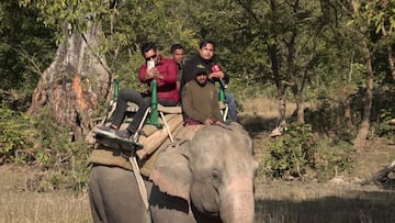 7 साल बाद राजाजी और कॉर्बेट टाइगर रिजर्व में शुरू हुई हाथी सफारी, सैलानियों को मिलेगा रोमांच