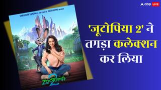Box Office: 'जूटोपिया 2' ने कर ली इतनी कमाई जितने में बड़े बजट की 12 हिंदी फिल्में बन जाएं