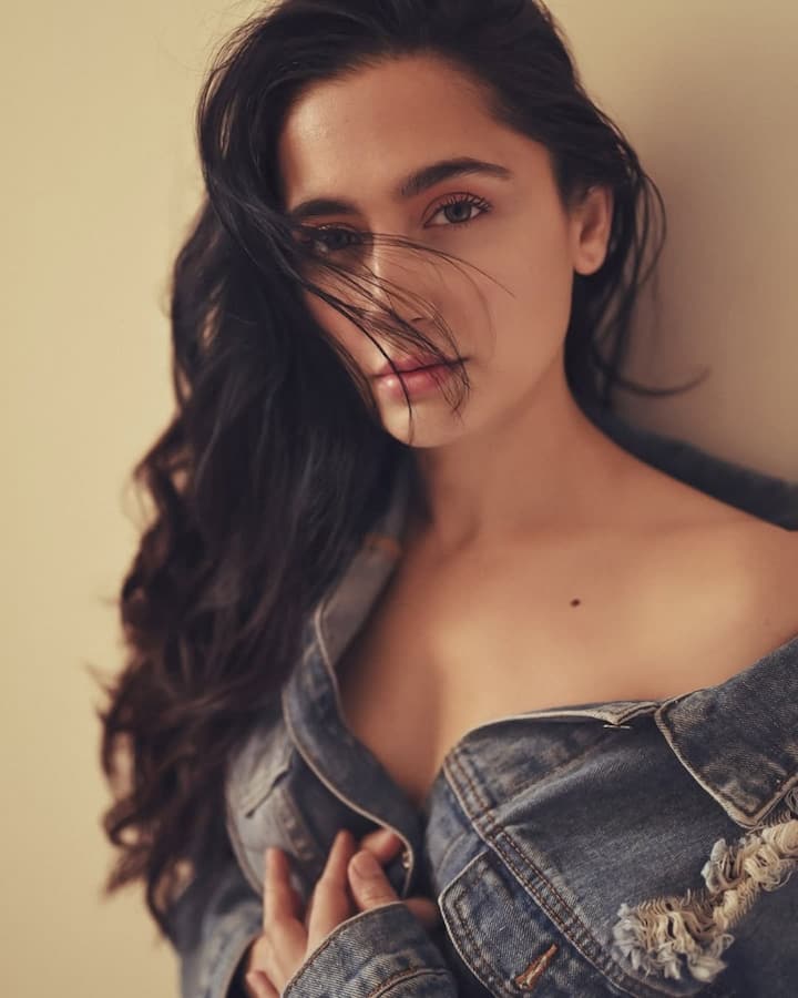 2017 में एक्ट्रेस ने गहराइयां से ओटीटी पर डेब्यू किया. संजीदा 'पोन्नयन सेल्वेन','पंख','अश्के','तैश' और 'फाइटर' जैसी फिल्मों में भी नजर आ चुकी हैं.