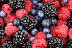 Berries Benefits For Skin And Hair : জাম খেলে উজ্জ্বল হবে ত্বক, মোলায়েম থাকবে চুল, পাতে কী কী রাখতেই হবে এই শীতে?
