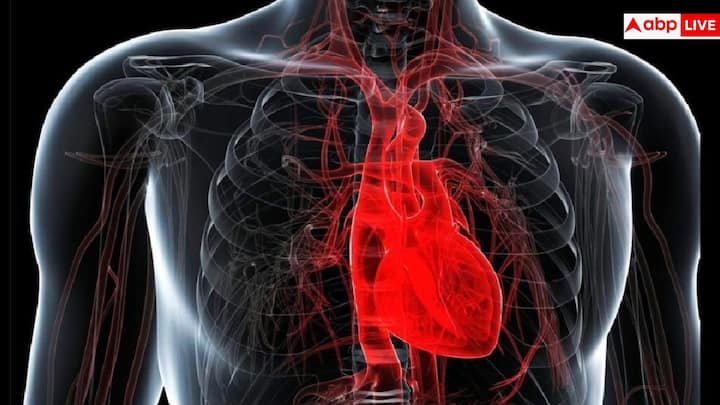 अमेरिका में हार्ट अटैक के आंकड़े चौंकाने वाले हैं. हर साल करीब 8 लाख से ज़्यादा लोग हार्ट अटैक के शिकार होते हैं, यानी लगभग हर 40 सेकंड में एक व्यक्ति. कई मामलों में यह दिल की पुरानी बीमारी की वजह से होता है, लेकिन अचानक आने वाली कार्डियक अरेस्ट बिना चेतावनी के जान ले लेती है.