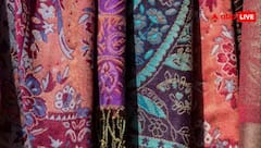 कितने का आता है असली पश्मीना शॉल? इसकी ये खासियत उड़ा देगी आपके होश