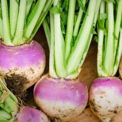 ਸ਼ਲਗਮ ਖਾਣ ਦੇ ਅਨੋਖੇ ਫਾਇਦੇ: ਸਿਹਤ ਨੂੰ ਬੁਸਟ ਕਰਨ ਵਾਲੀ ਸਰਦੀ ਦੀ ਗਜ਼ਬ ਸਬਜ਼ੀ