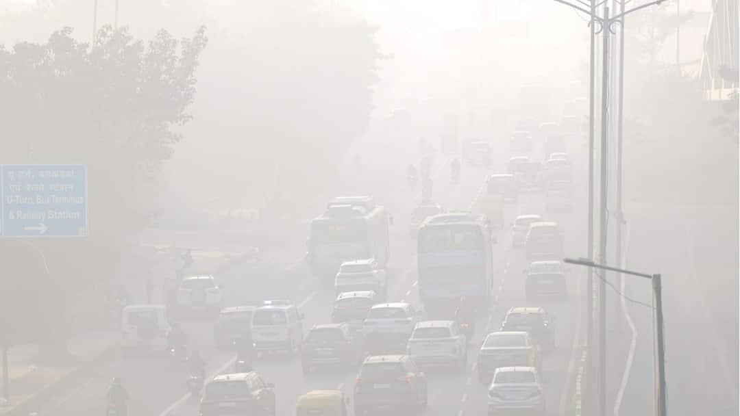 Delhi Pollution Crackdown: MCD Areas Flagged For Most Dust-Affected Roads