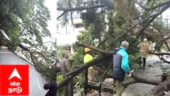 சீர்காழி தேசிய நெடுஞ்சாலையில் ராட்சத மரம் விழுந்து பெரும் விபத்து! அதிர்ஷ்டவசமாக உயிர் சேதம் தவிர்ப்பு, பரபரப்பு!