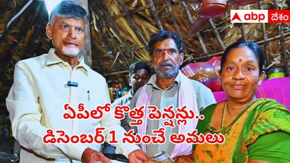 AP New Pensions 2025: ఏపీలో కొత్త పెన్షన్లు మంజూరు.. డిసెంబర్ 1 నుంచి లబ్ధిదారులకు ప్రయోజనం