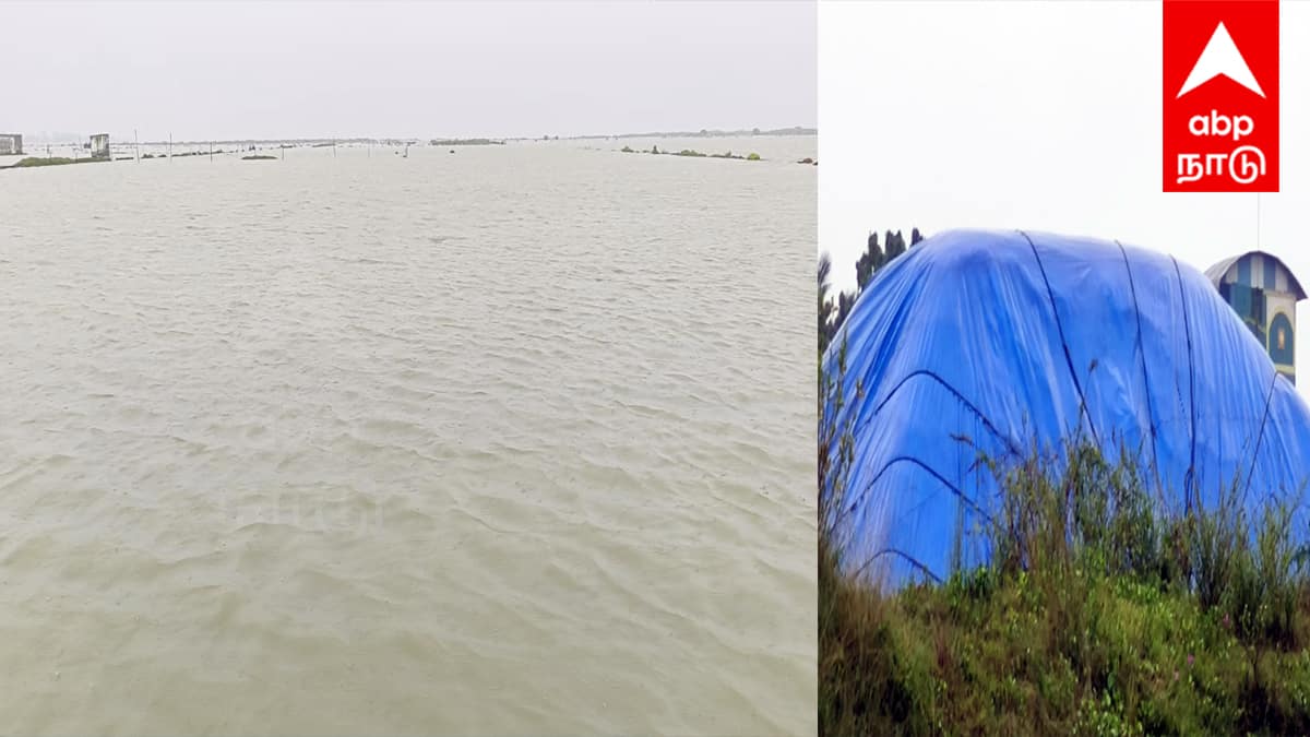 Ditwah Cyclone : டிட்வா புயலால் மரக்காணம் உப்பளங்களில் பேரழிவு! 3,500 ஏக்கர் நீரில் மூழ்கி உப்பு உற்பத்தி பாதிப்பு, தொழிலாளர்கள் கதி என்ன?