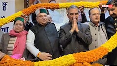 विनय कुमार ने संभाला हिमाचल प्रदेश कांग्रेस अध्यक्ष का पद, प्रतिभा सिंह बोलीं- 'हम चाहेंगे कि...'