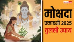 Mokshada Ekadashi 2025 Upay: मोक्षदा एकादशी पर कर लें तुलसी से जुड़ा ये उपाय, श्रीहरि हो जाएंगे प्रसन्न