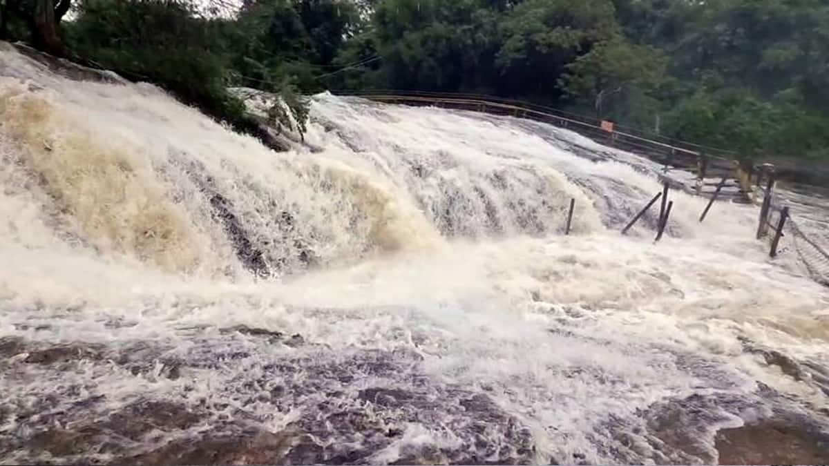 புயல் எதிரொலி : முல்லைப் பெரியாறு, சோத்துப்பாறை அணைகளில் நீர்வரத்து அதிகரிப்பு! கும்பக்கரை அருவியில் தடை!