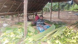 டிட்வா புயலால் தொடர் மழை... 25 லட்சம் வாழை இலை அறுவடை முடக்கம்