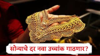 Gold Rate Prediction : सोन्याचे दर पुन्हा उच्चांक गाठणार, डिसेंबरच्या पहिल्या आठवड्यात काय घडणार? तज्ज्ञांचा अंदाज समोर