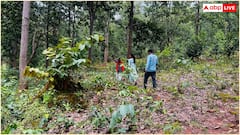 जल-जंगल और जमीन के लिए लगाया 'चौका', दुनिया को दे रहे नई सीख