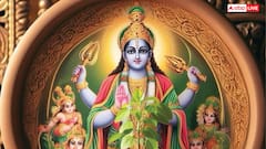 Mokshada Ekadashi 2025 Upay: मोक्षदा एकादशी पर कर लें तुलसी से जुड़ा ये उपाय, श्रीहरि हो जाएंगे प्रसन्न