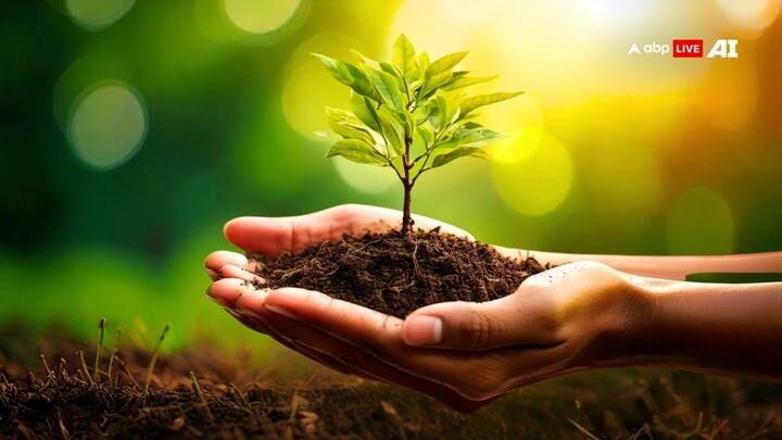 Trees and plants have special importance in Hindu religion and Vastu Shastra. Visiting some sacred trees or spending time near them calms the mind and removes negative energy.