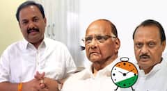 दोन्ही राष्ट्रवादी एकत्र आले तर मी राजीनामा देईन, राजकारणातून बाहेर पडेन; शरद पवार गटाच्या नेत्याचा एल्गार, कारण हि सांगितलं!